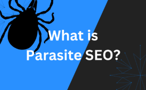 Unlock the Secret Of Parasite SEO! Best Practices
